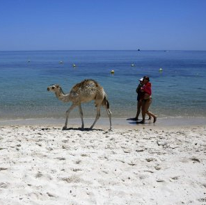 tunisia-tourism